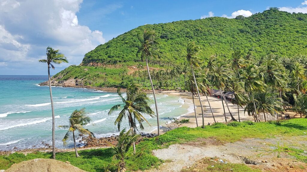 bai-cay-men-nam-du