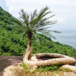Bãi Thiên Tuế: Vị trí, điểm thu hút, kinh nghiệm du lịch và gợi ý chọn tour