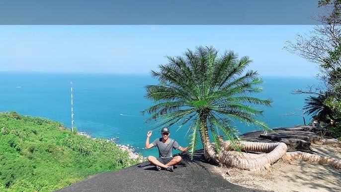 cay-co-thu-nghin-nam