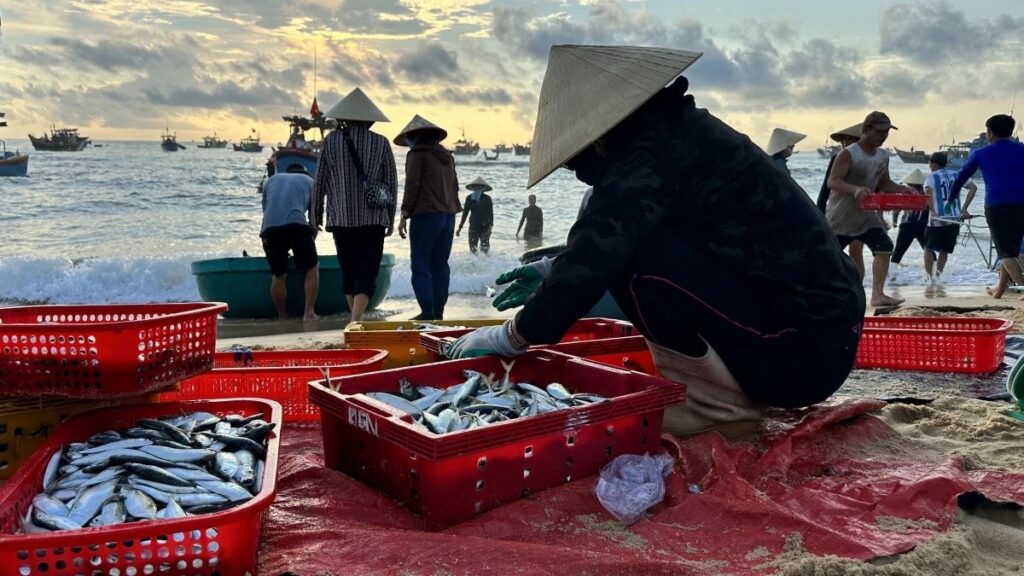 Tour-Phu-Quoc-3N2D-dem-khep-kin