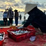 Tour Phú Quốc 3N2Đ đêm khám phá Đảo Ngọc khép kín: Ngắm san hô- chèo thuyền sup và thưởng thức hải sản làng trài