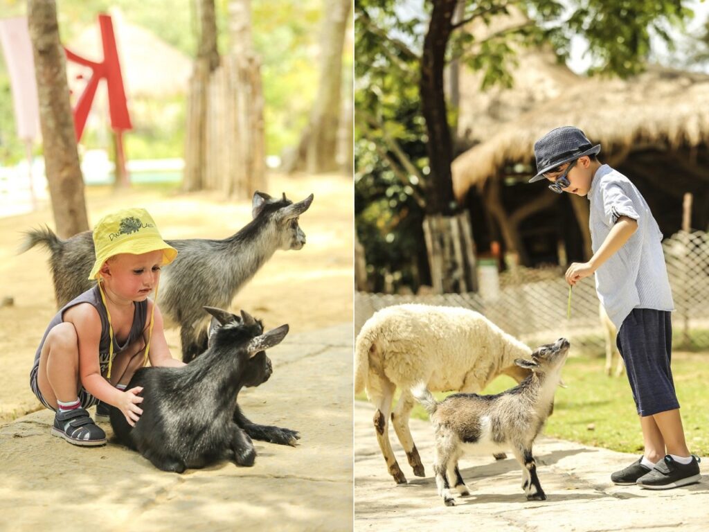 vinpearl safari phu quoc mo hinh ban so thu hoang da dau tien tai viet nam 09