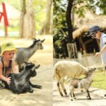 Tour Phú Quốc 3N2Đ Wellness thong thả cho gia đình có người lớn tuổi và em bé