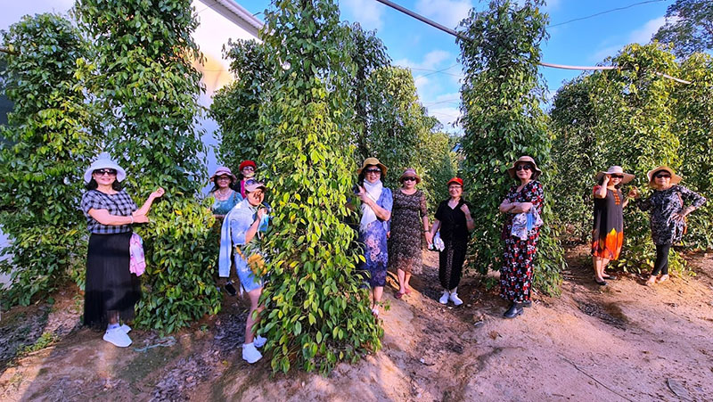 vuon-tieu-phu-quoc